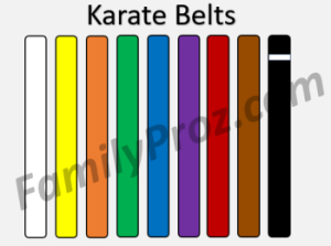 Ordered Karate belts in ascending order.