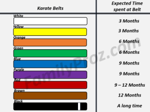 All karate Belts ordered and labelled with their time requirements. A diagram