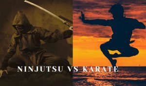 Ninjutsu vs Karate
