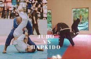 Judo vs Hapkido