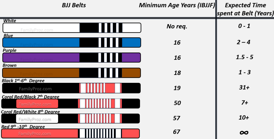 BJJ Belts System (Brazilian Jiu-Jitsu Guide) - FamilyProz