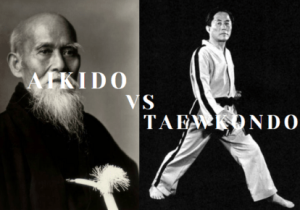 Founders: Aikido vs Taekwondo